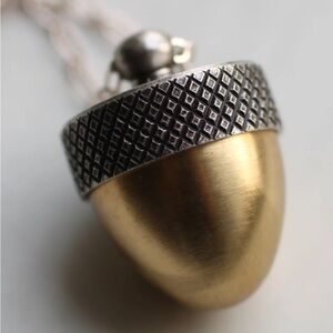 Secret treasure acorn locket necklace